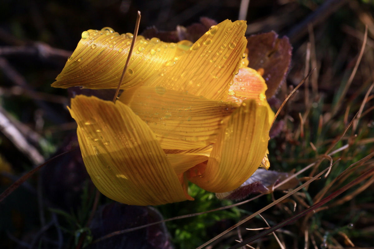 2015_03_19_00016012_Bildgr��e �ndern