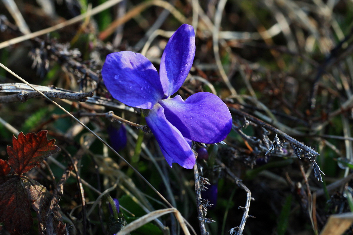 2015_03_19_00016017_Bildgr��e �ndern