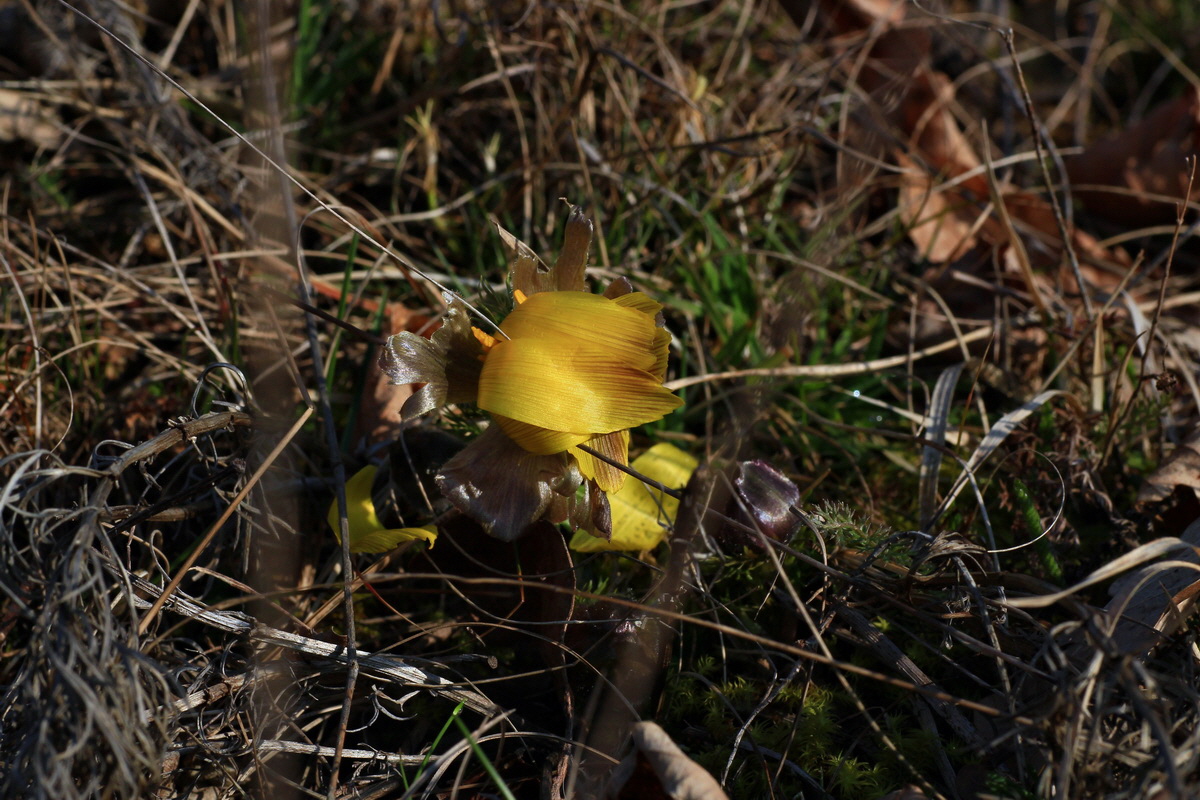 2015_03_19_00016021_Bildgr��e �ndern