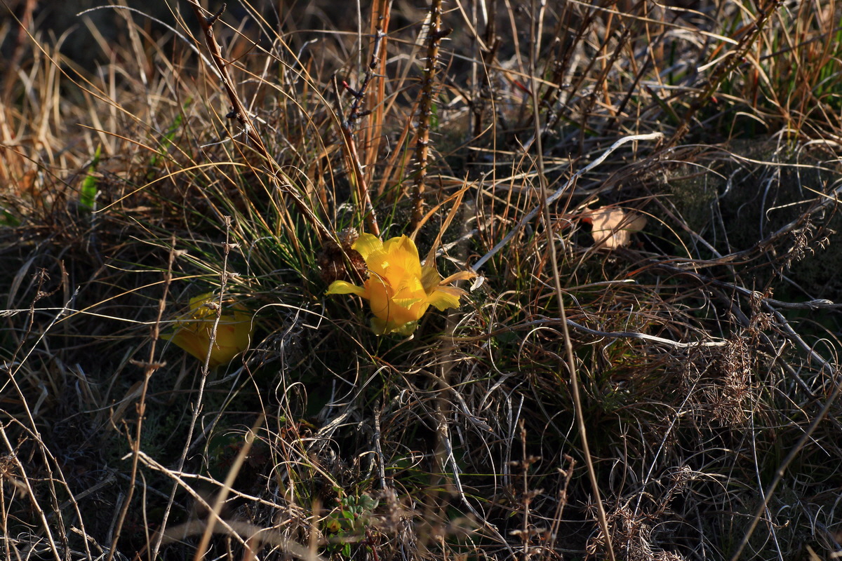 2015_03_19_00016024_Bildgr��e �ndern