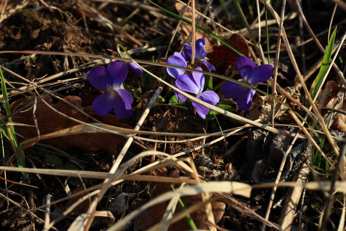 2015_03_19_00016032_Bildgr��e �ndern