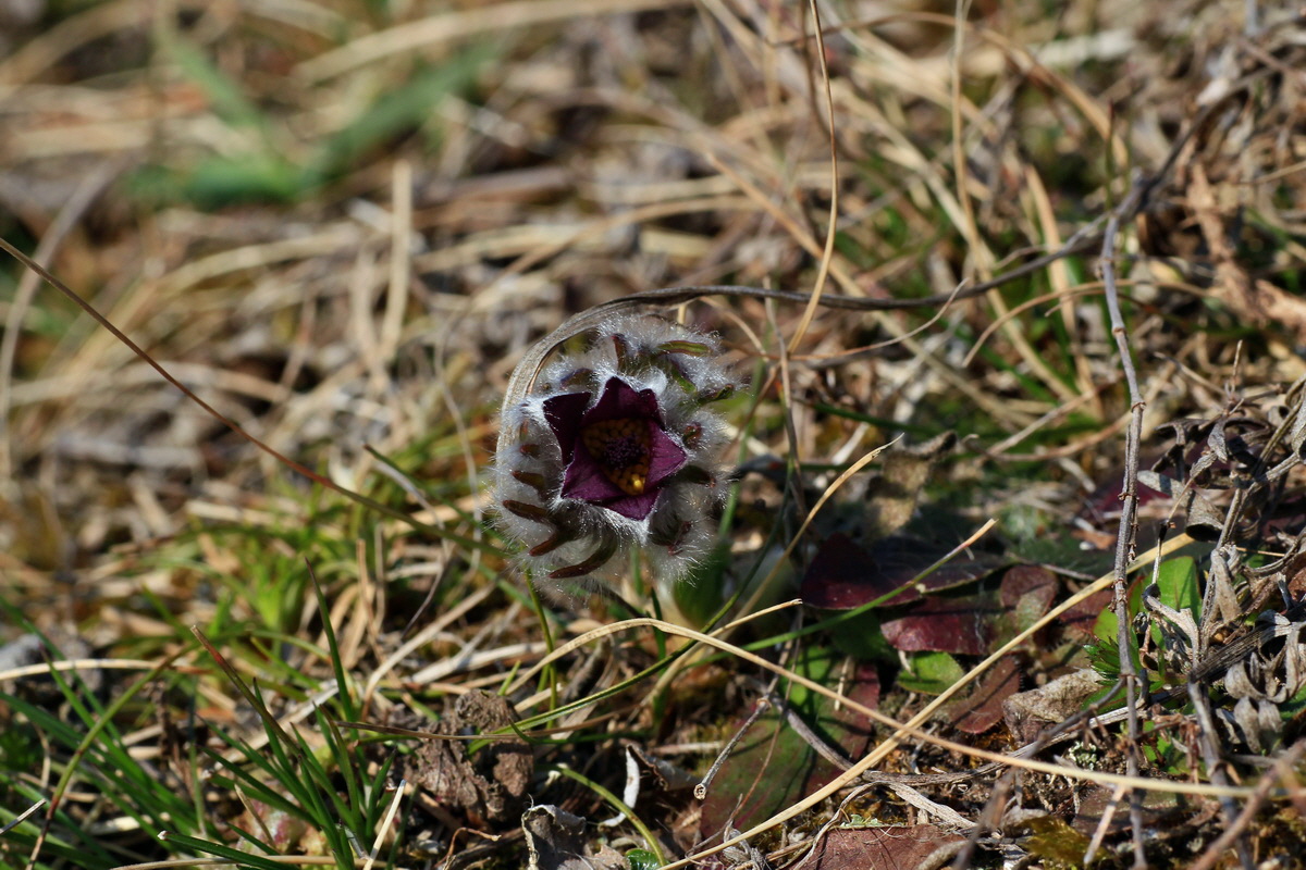 2015_03_19_00016035_Bildgr��e �ndern