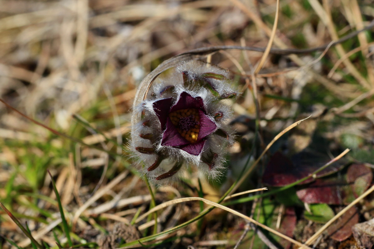 2015_03_19_00016037_Bildgr��e �ndern