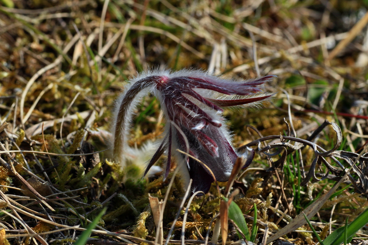 2015_03_19_00016040_Bildgr��e �ndern