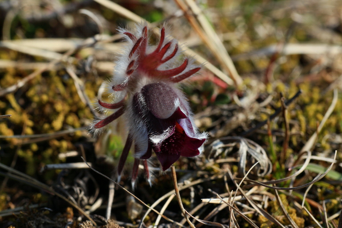 2015_03_19_00016042_Bildgr��e �ndern