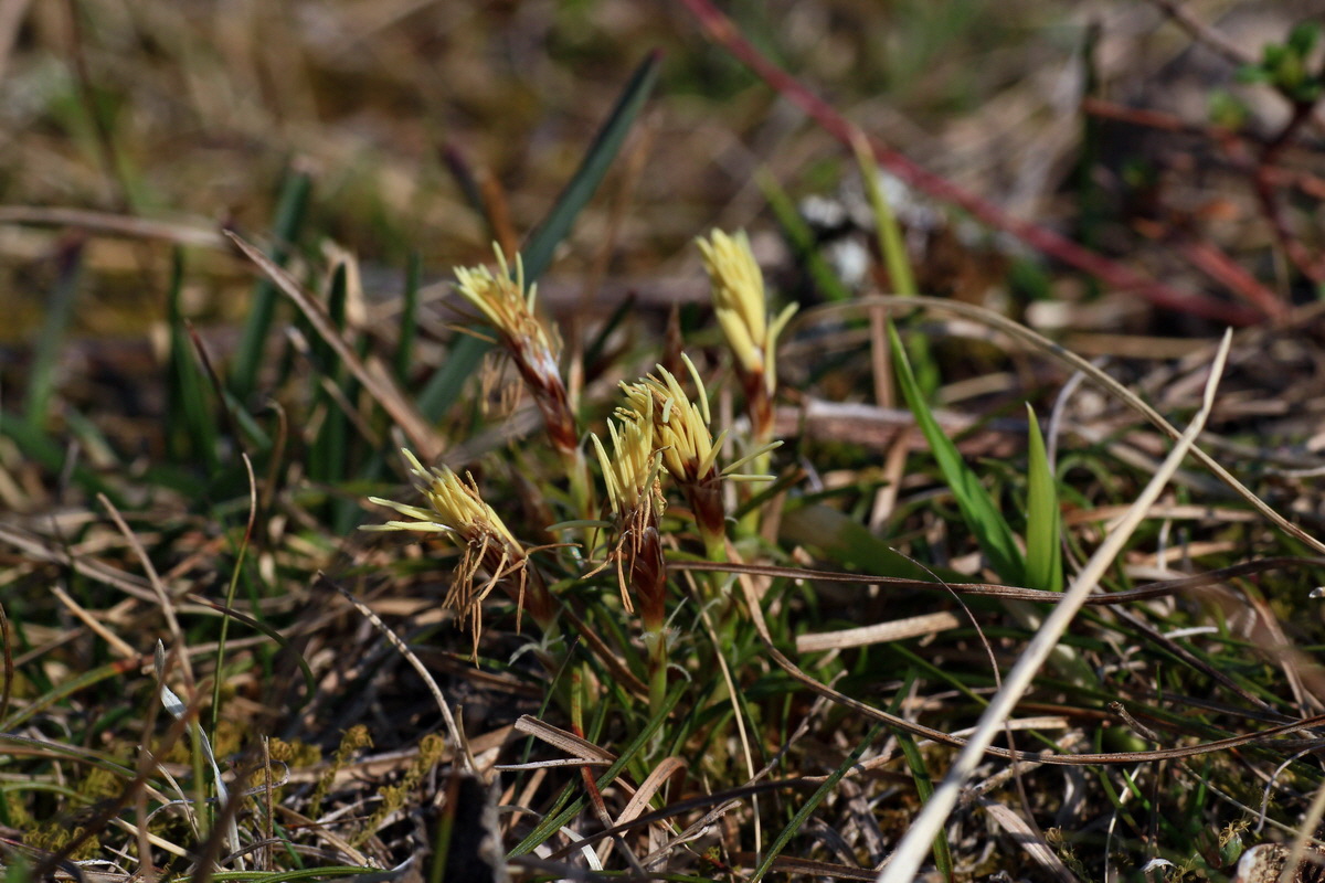 2015_03_19_00016045_Bildgr��e �ndern