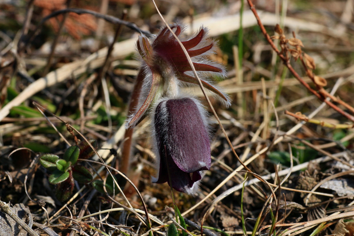 2015_03_19_00016047_Bildgr��e �ndern