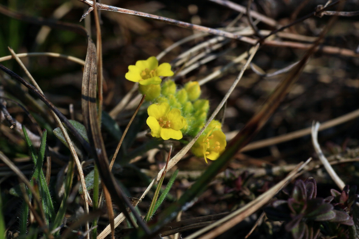 2015_03_19_00016058_Bildgr��e �ndern