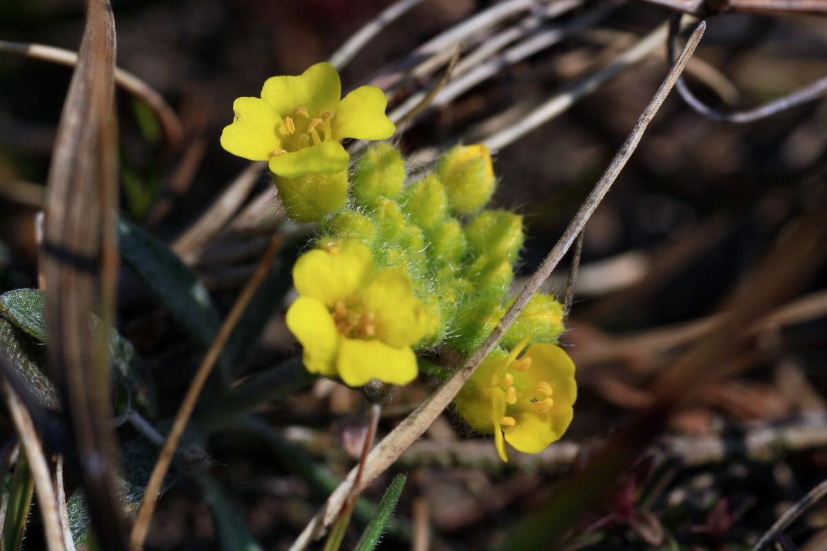 2015_03_19_00016061_Bildgr��e �ndern