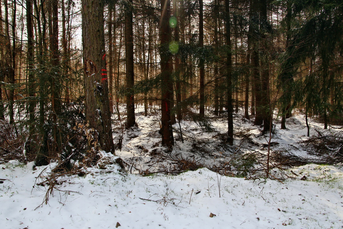 2015_03_22_00016388_Bildgr��e �ndern