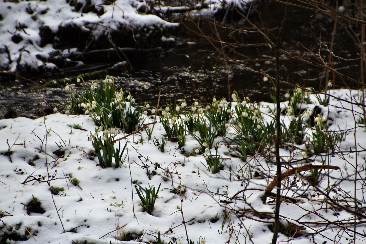 2015_03_22_00016405_Bildgr��e �ndern