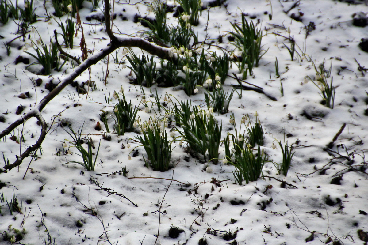 2015_03_22_00016407_Bildgr��e �ndern