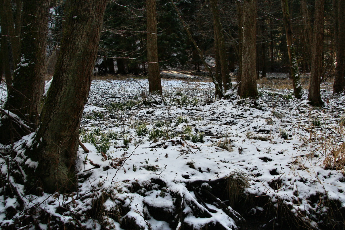 2015_03_22_00016410_Bildgr��e �ndern