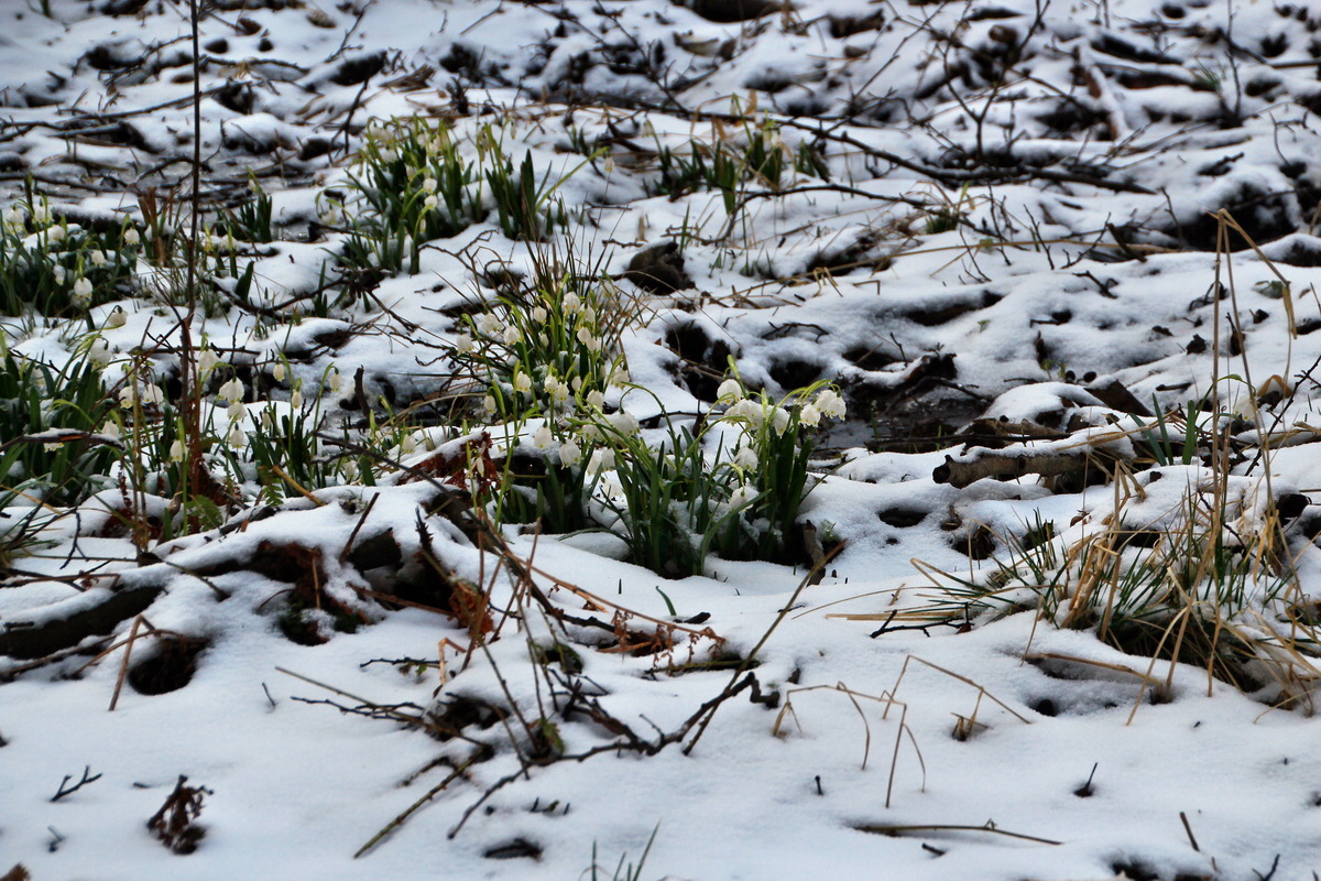 2015_03_22_00016412_Bildgr��e �ndern