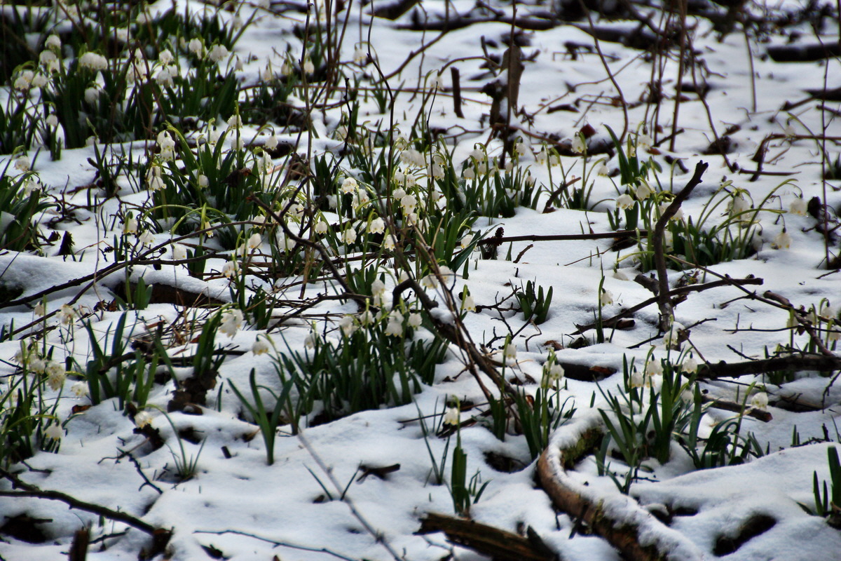 2015_03_22_00016418_Bildgr��e �ndern