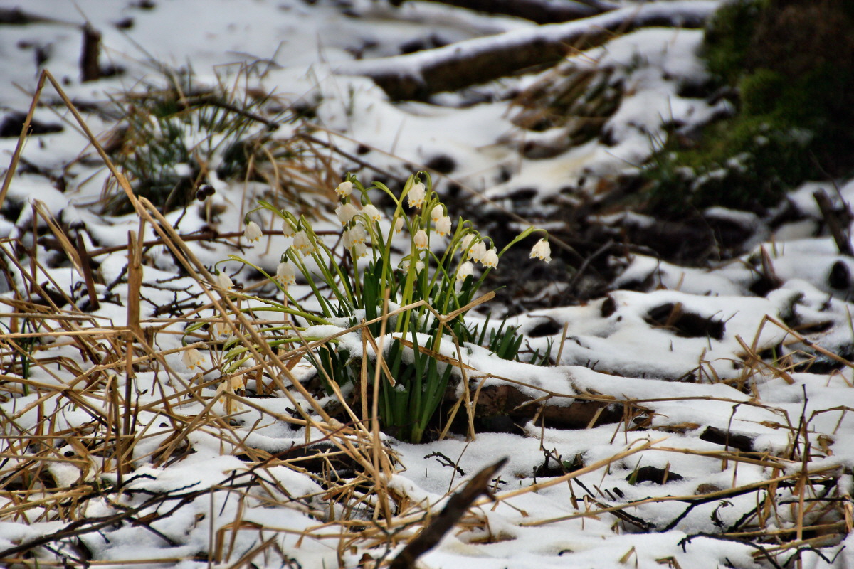 2015_03_22_00016422_Bildgr��e �ndern