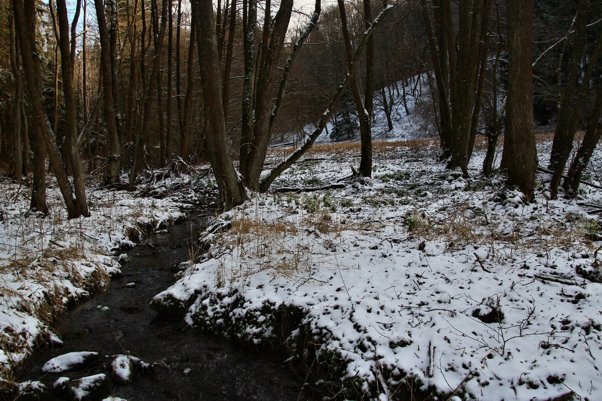 2015_03_22_00016427_Bildgr��e �ndern