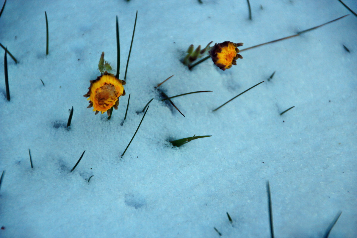 2015_03_22_00016433_Bildgr��e �ndern