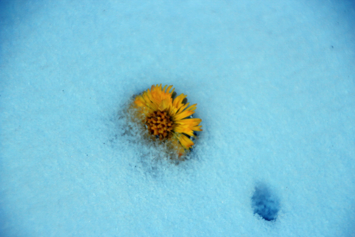 2015_03_22_00016435_Bildgr��e �ndern