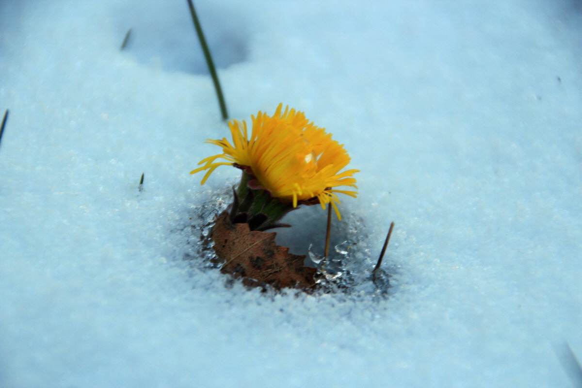 2015_03_22_00016437_Bildgr��e �ndern