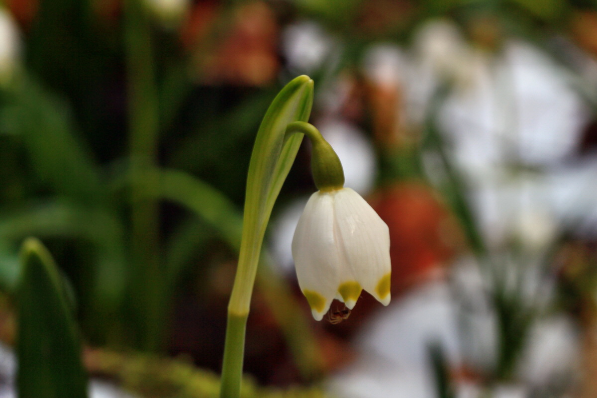 2015_03_24_00016443p_Bildgr��e �ndern