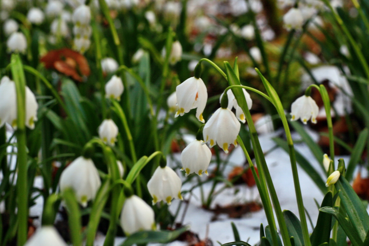 2015_03_24_00016448p_Bildgr��e �ndern