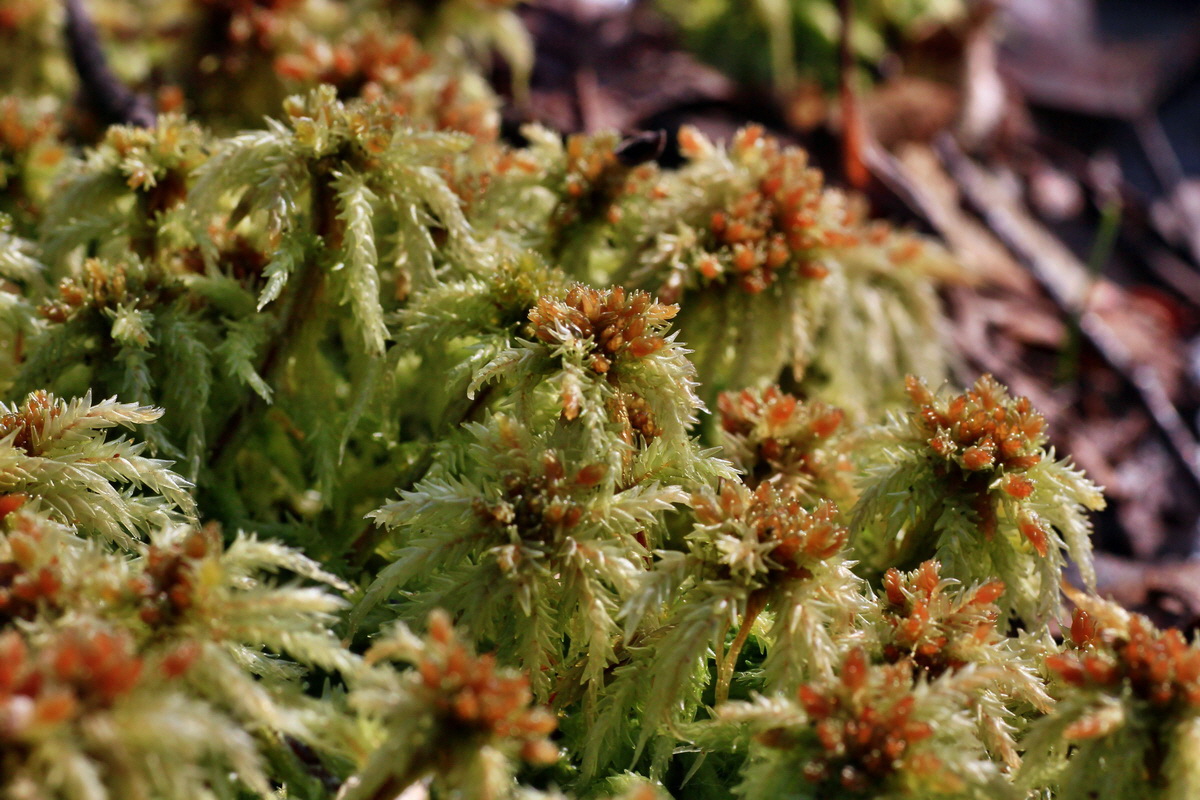 2015_03_24_00016452p_Bildgr��e �ndern