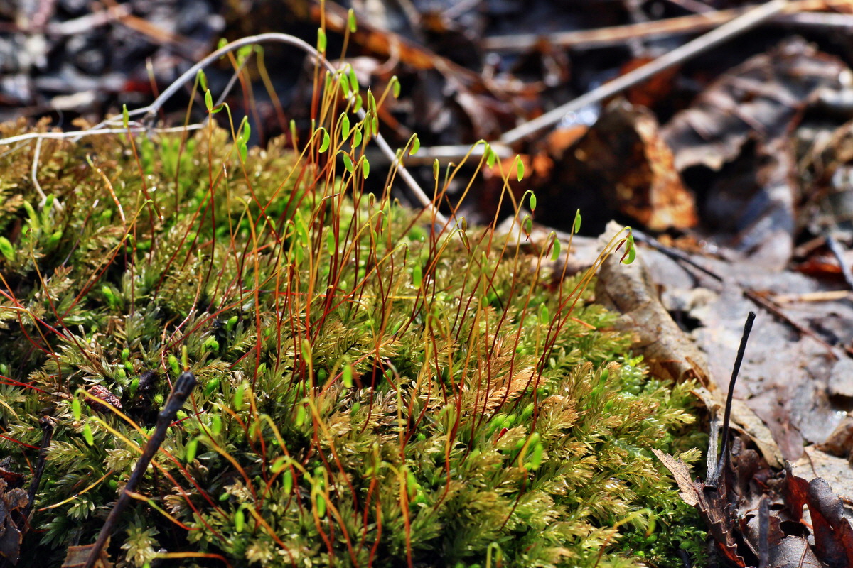 2015_03_24_00016461p_Bildgr��e �ndern