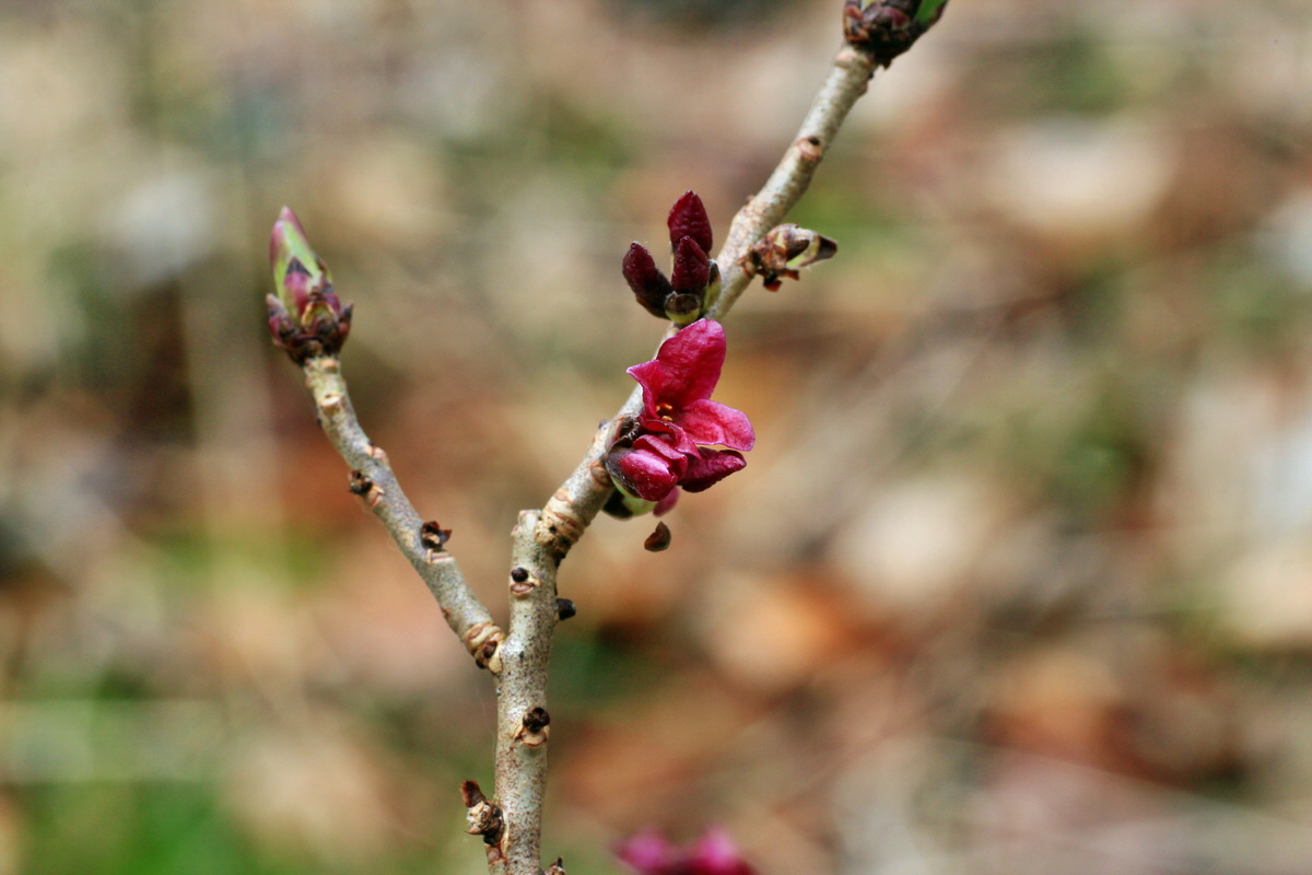 2015_03_24_00016474p_Bildgr��e �ndern