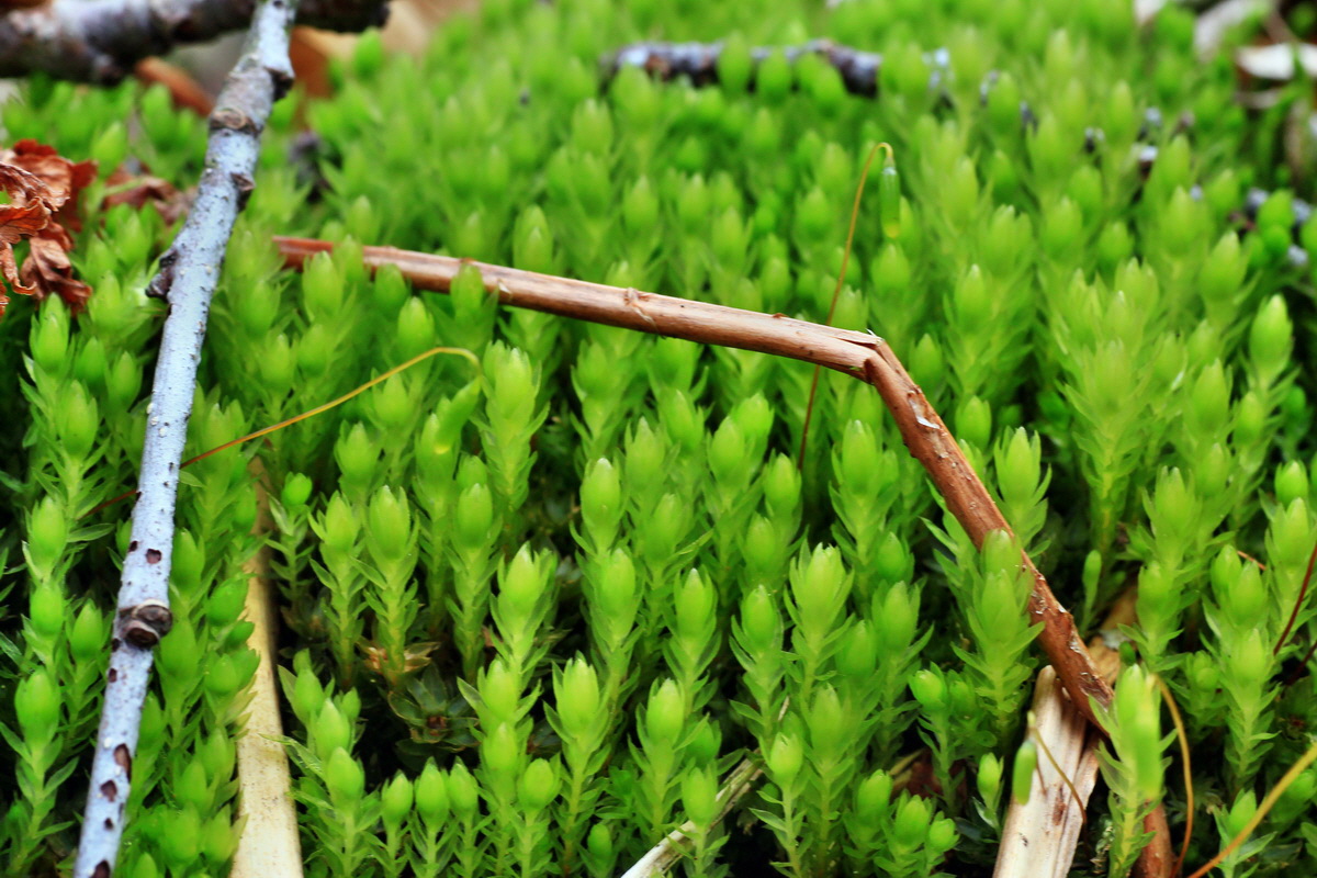 2015_03_24_00016480p_Bildgr��e �ndern