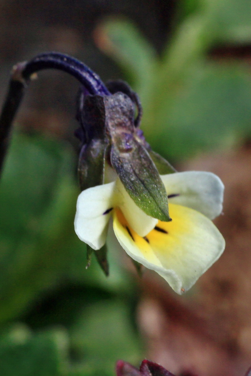 2015_03_28_00016494ap_Bildgr��e �ndern