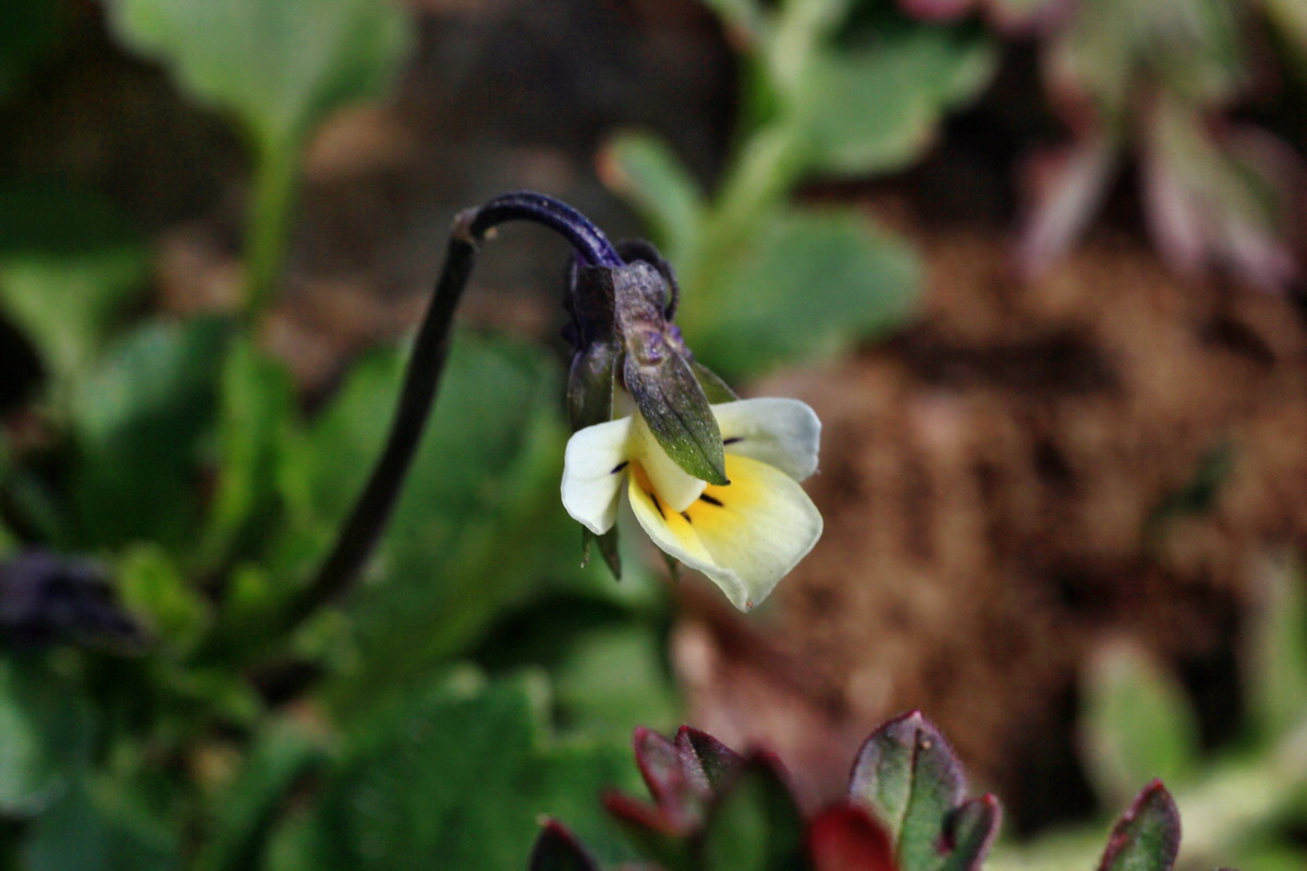 2015_03_28_00016494p_Bildgr��e �ndern