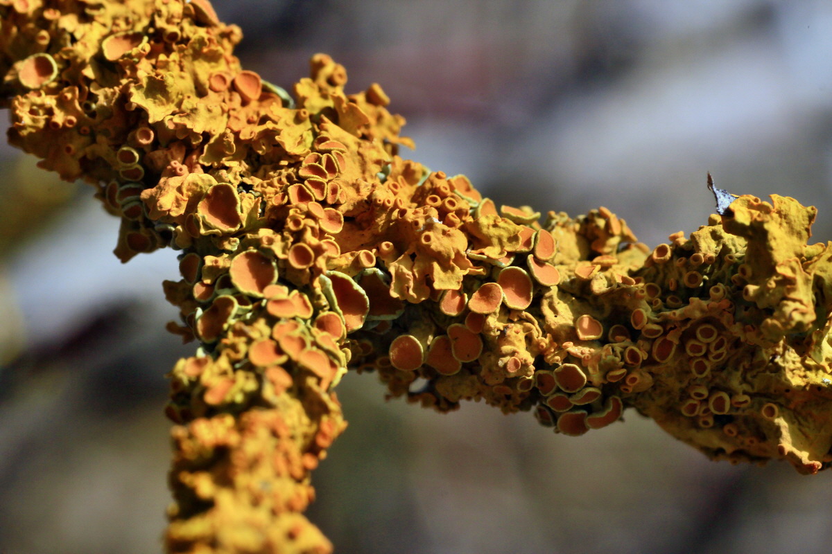 2015_03_28_00016504p_Bildgr��e �ndern