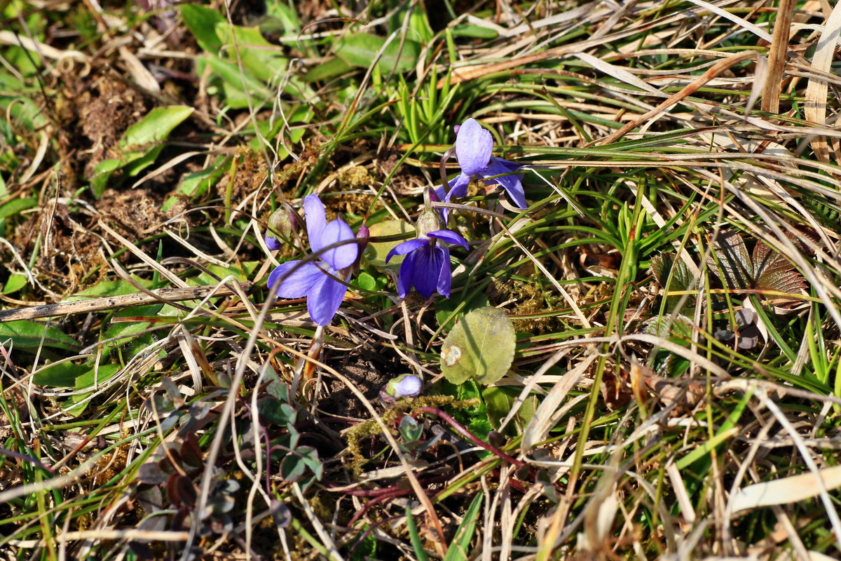 2015_03_28_00016507p_Bildgr��e �ndern