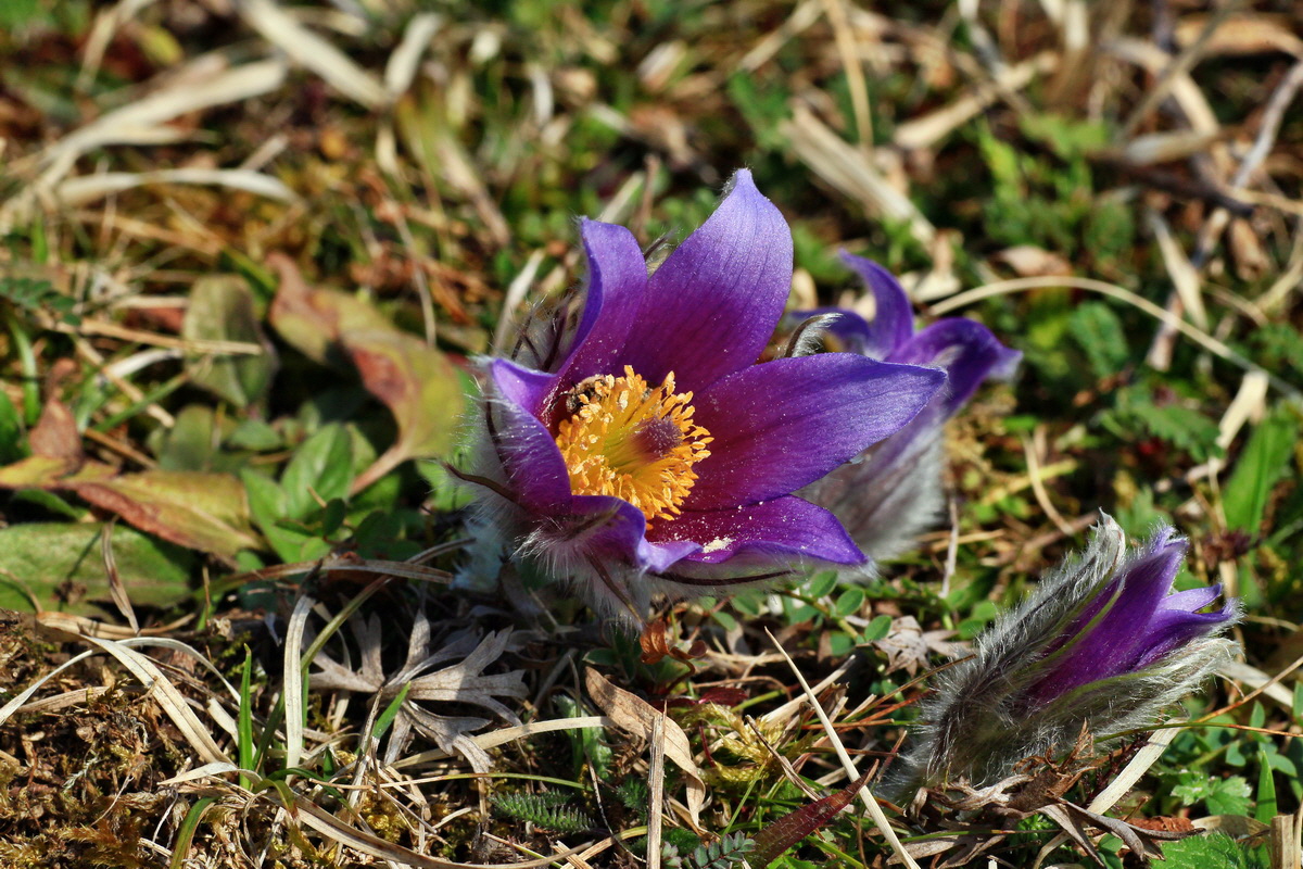 2015_03_28_00016508p_Bildgr��e �ndern