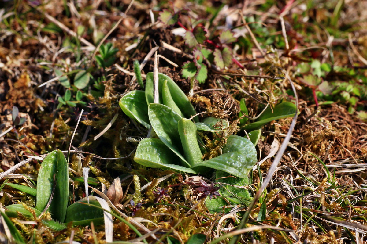 2015_03_28_00016513p_Bildgr��e �ndern