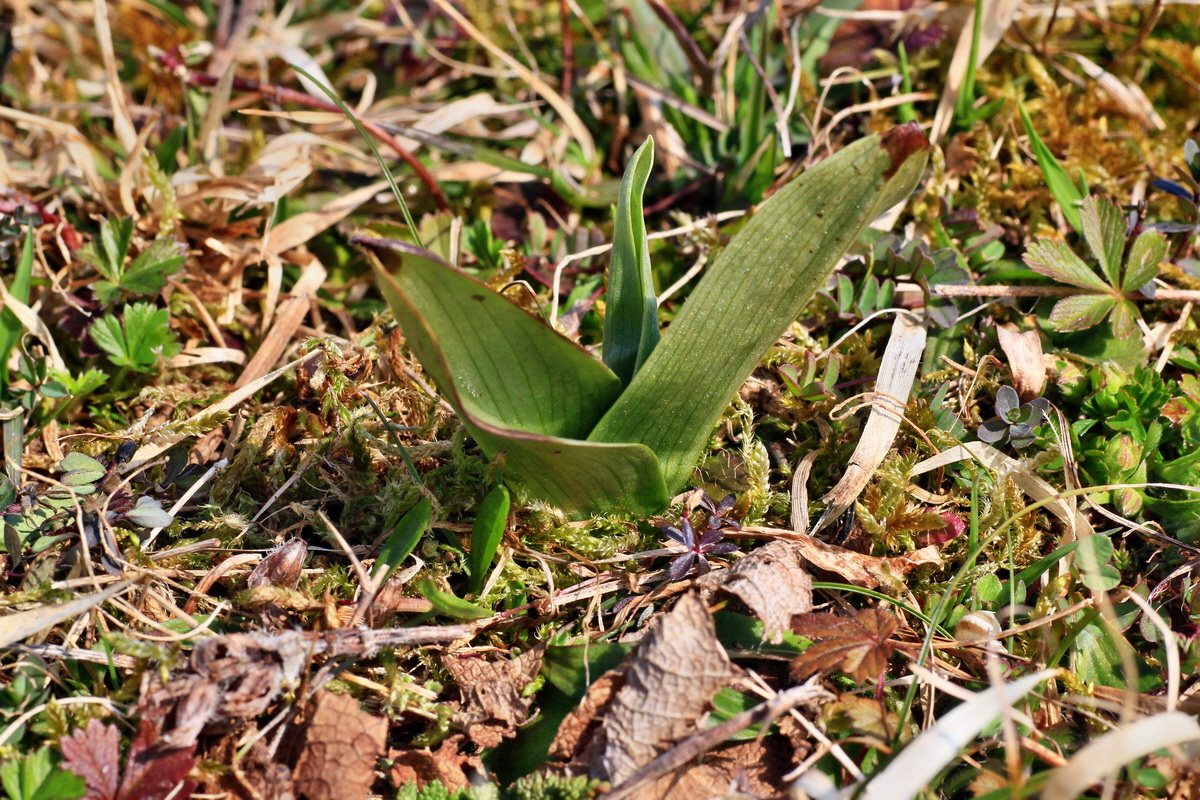 2015_03_28_00016529p_Bildgr��e �ndern