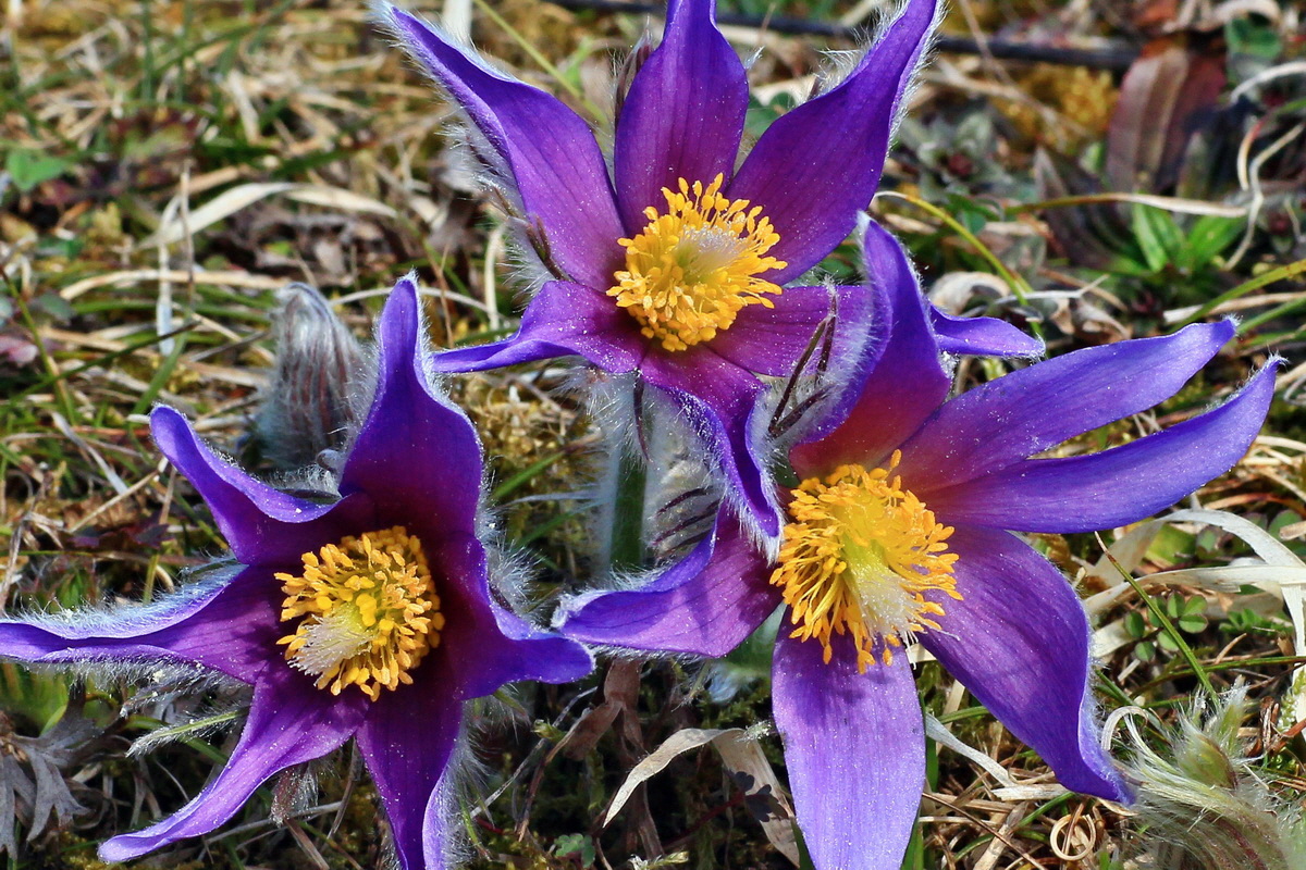 2015_03_28_00016530ap_Bildgr��e �ndern