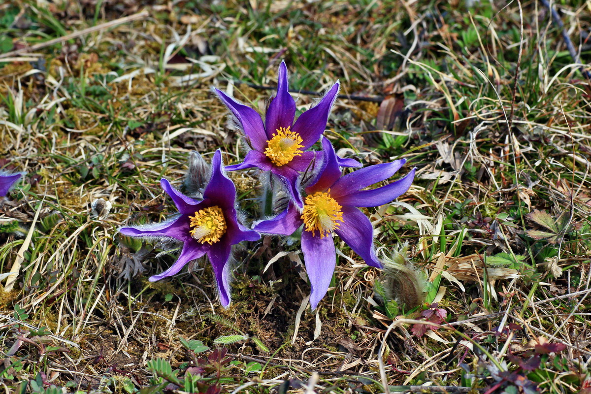 2015_03_28_00016530p_Bildgr��e �ndern