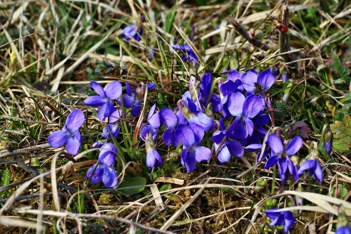 2015_03_28_00016535p_Bildgr��e �ndern