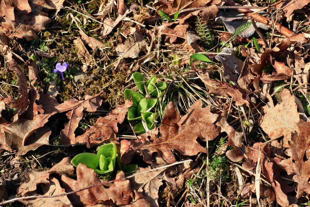 2015_03_28_00016540p_Bildgr��e �ndern