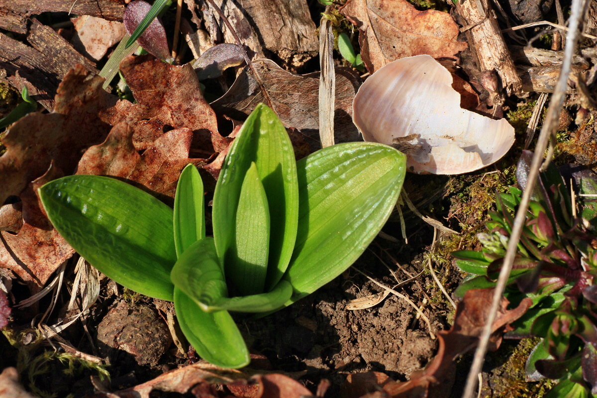 2015_03_28_00016542p_Bildgr��e �ndern