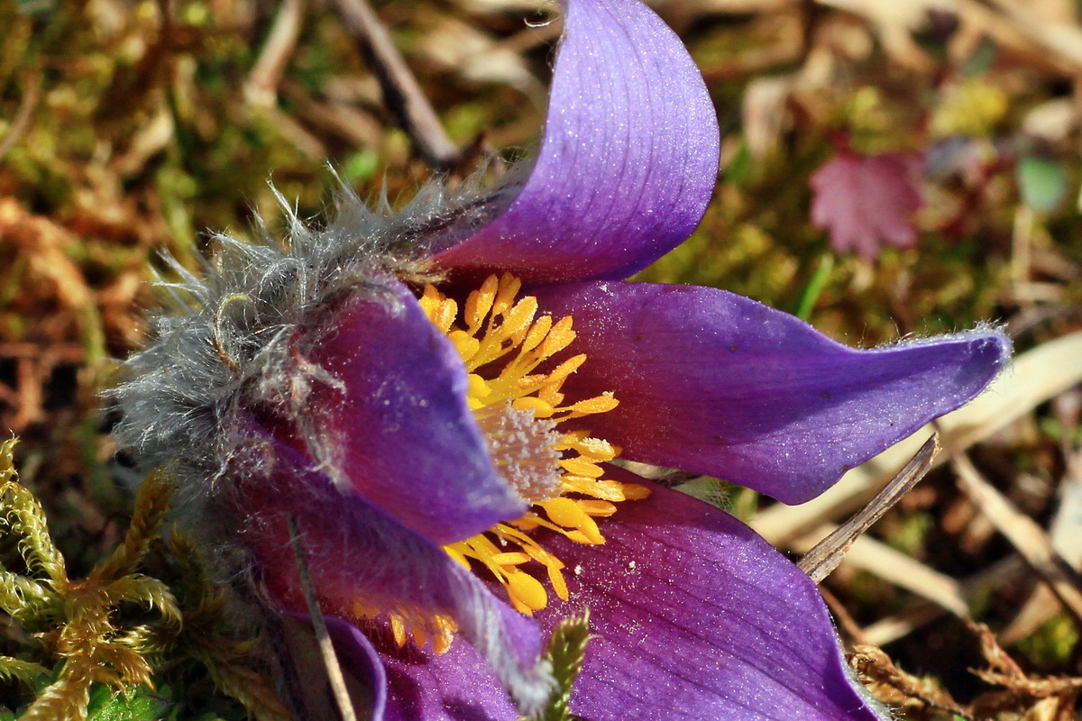 2015_03_28_00016544ap_Bildgr��e �ndern