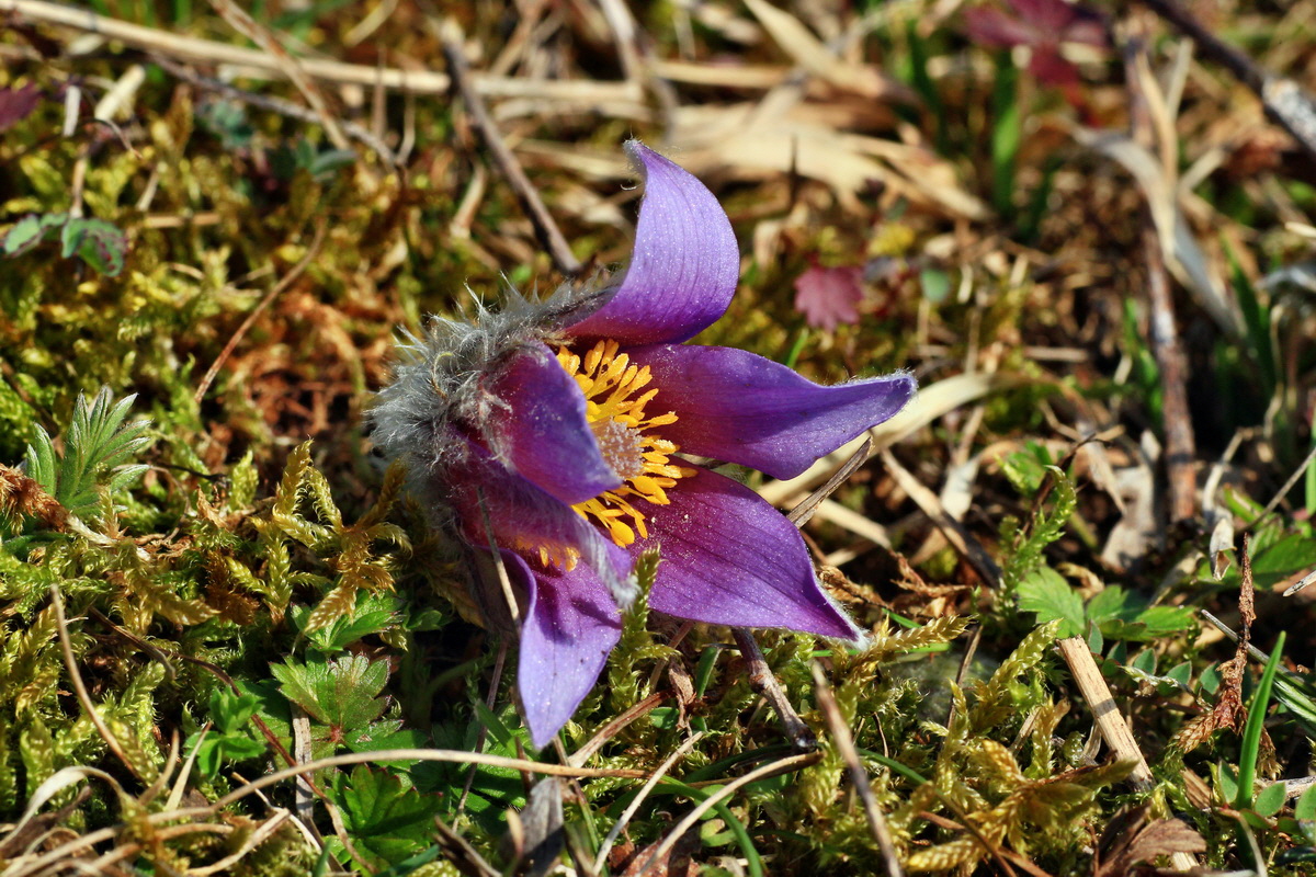 2015_03_28_00016544p_Bildgr��e �ndern