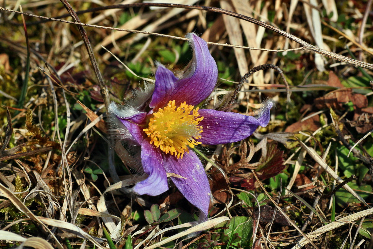 2015_03_28_00016549p_Bildgr��e �ndern