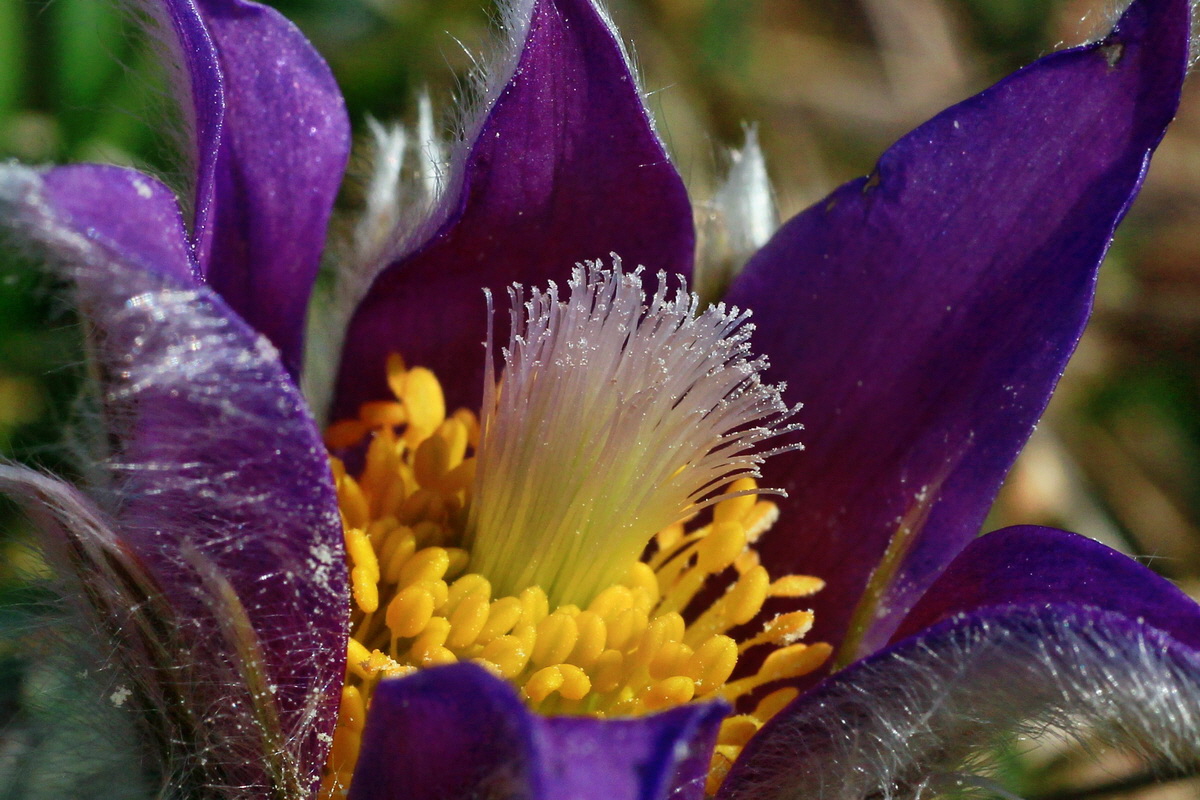 2015_03_28_00016553ap_Bildgr��e �ndern