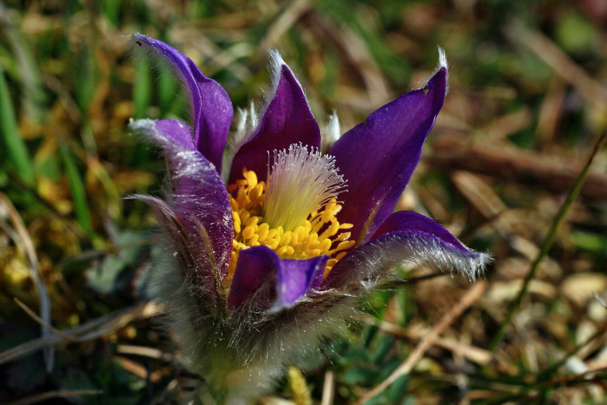 2015_03_28_00016553p_Bildgr��e �ndern