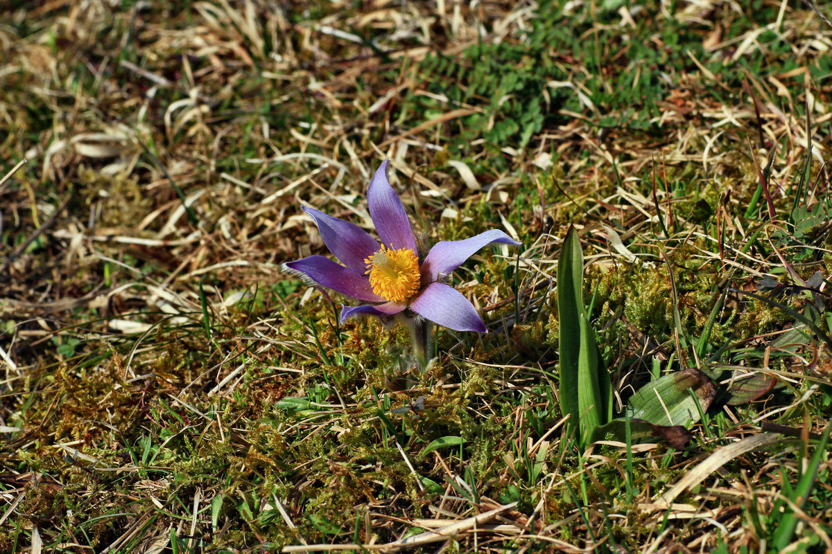 2015_03_28_00016555p_Bildgr��e �ndern