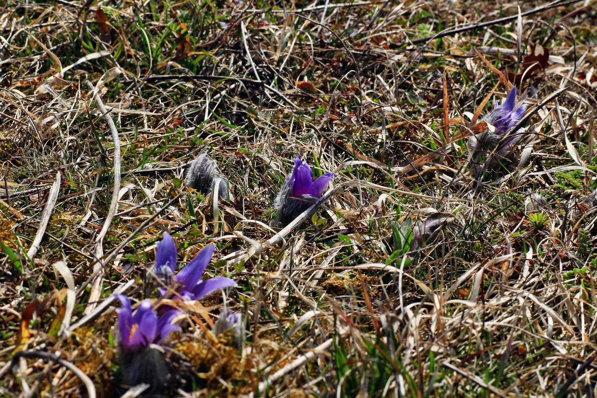 2015_03_28_00016557p_Bildgr��e �ndern