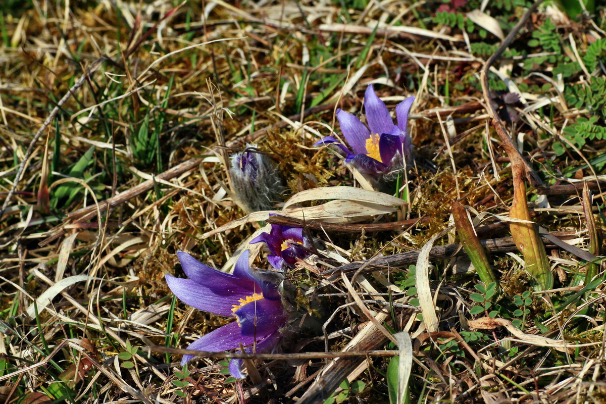 2015_03_28_00016560p_Bildgr��e �ndern